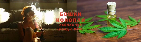 мяу мяу мука Майский