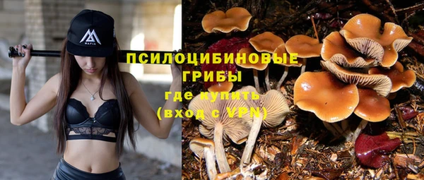 ешки Магас