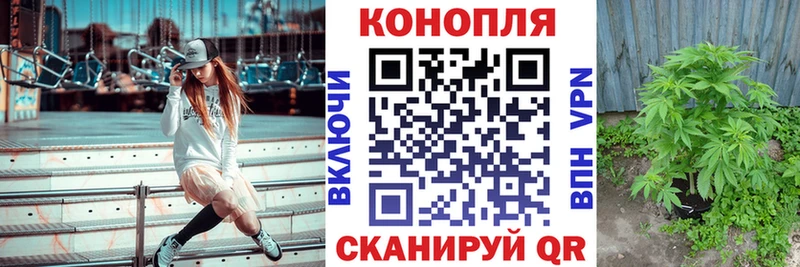 Конопля OG Kush  где можно купить   мориарти состав  Ленинградская 